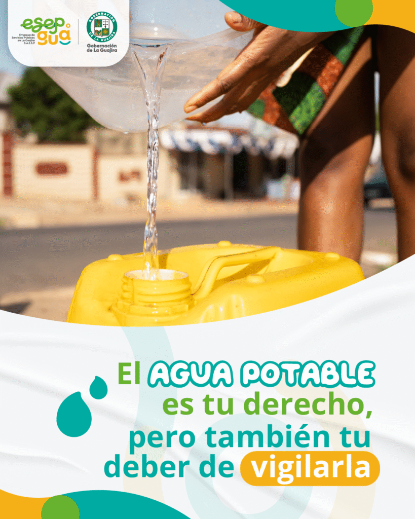 Carrusel 5 Mesa de trabajo 5